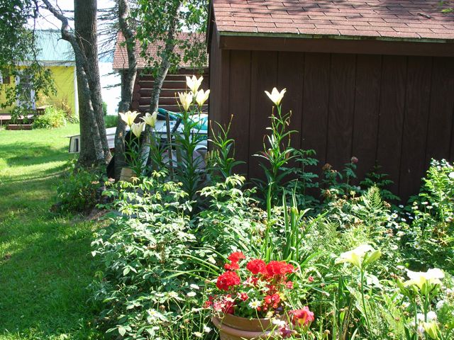 Garden3.JPG