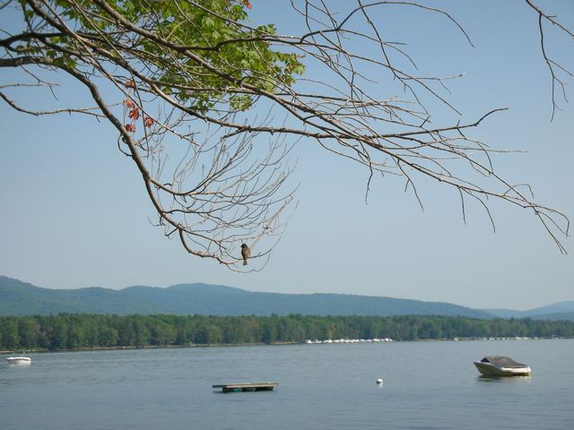 The Lake.JPG