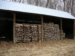 Deadwood from maple trees, stacked and ready.