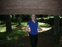 Under Redwood Trunk