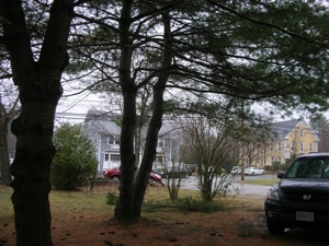 VILLAGE STORE (GRAY), TOWN HALL (YELLOW)