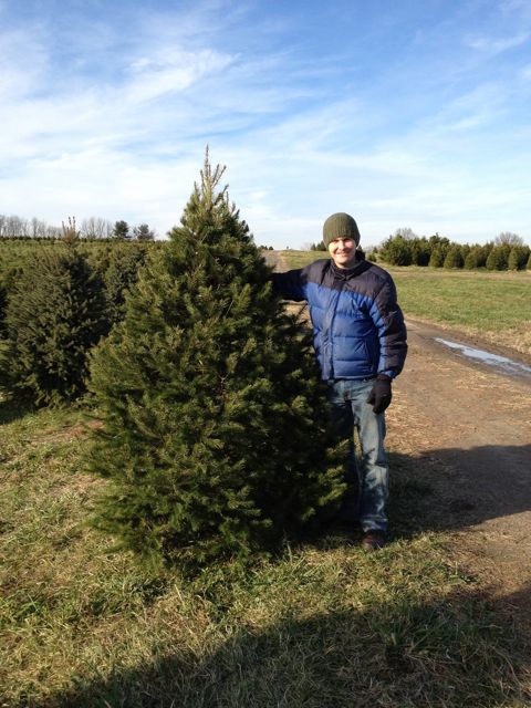 Christmas tree 2011