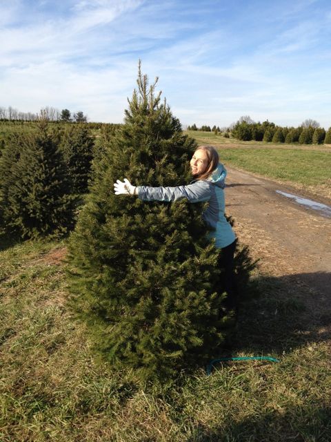 Tree Hugger