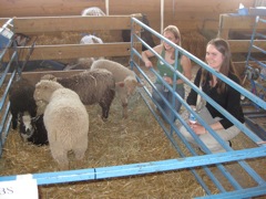 Amanda & Bethany with sheep