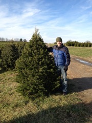Christmas tree 2011