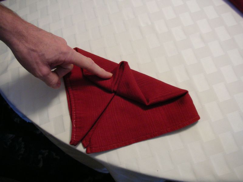 They taught us to fold napkins