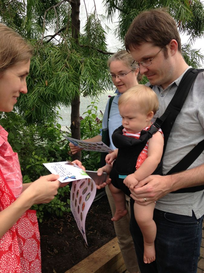 Learning about Butterflies