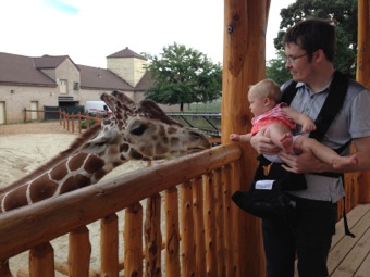 And Giraffes!